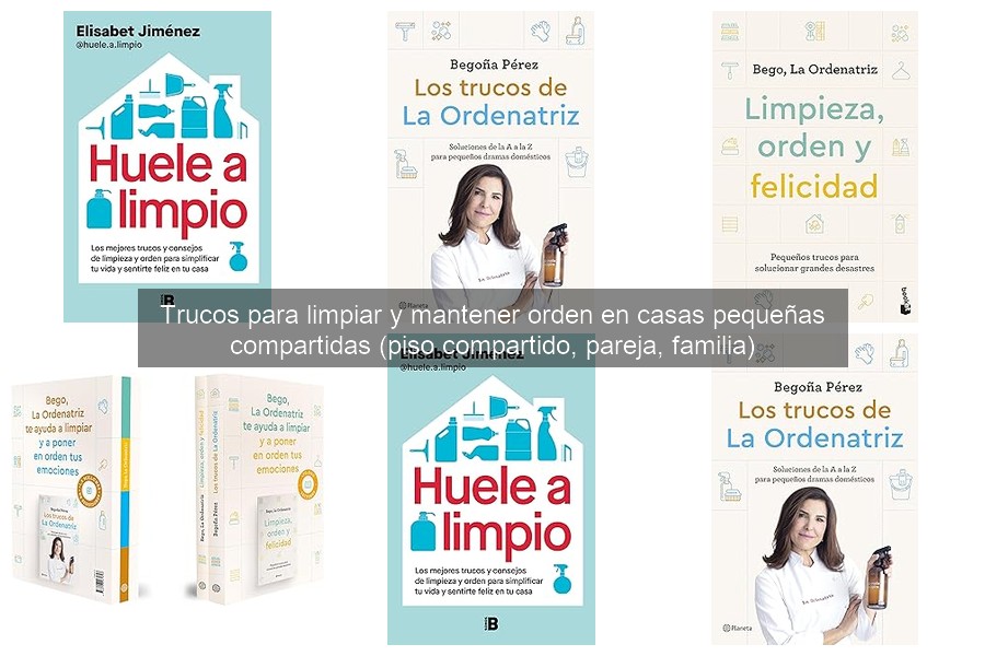 Estrategias para Dividir Tareas de Limpieza en Hogares Compartidos