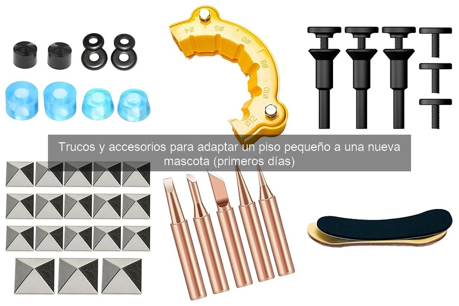 Guía de compra: jaulas y transportadoras para espacios pequeños