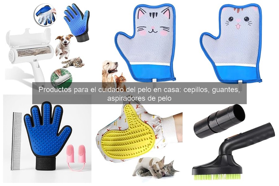 Guía para Elegir el Mejor Cepillo para el Cabello en Casa
