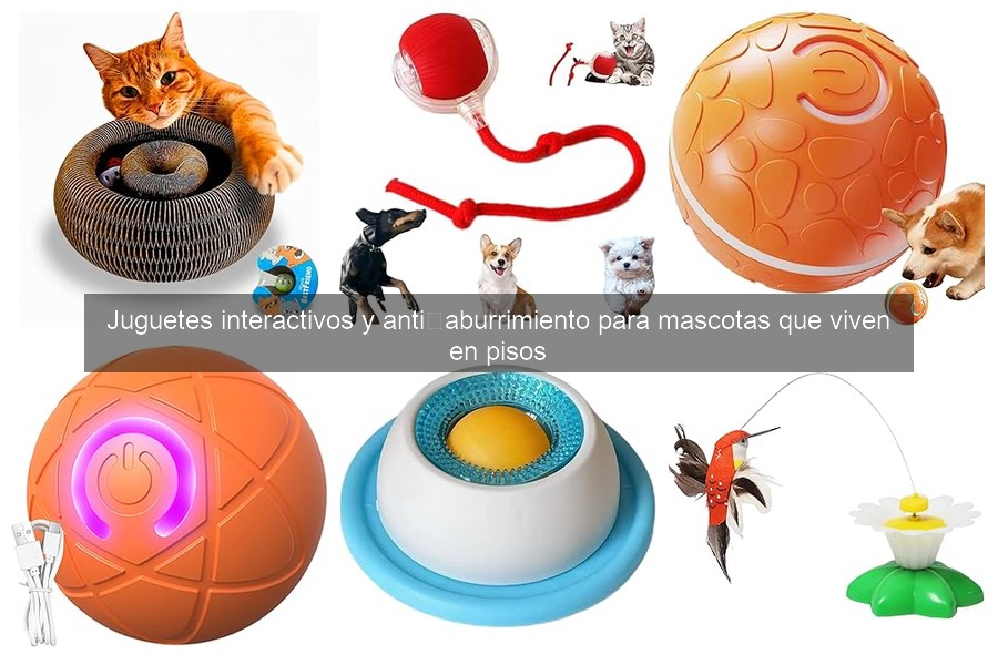 La importancia de entretener a tus mascotas en pisos pequeños