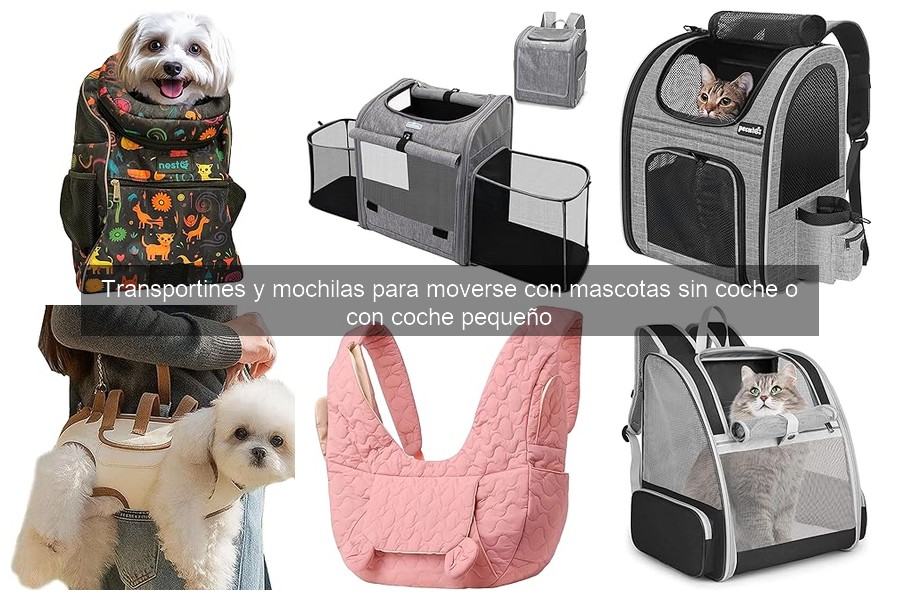 Las mochilas para perros más cómodas de 2023