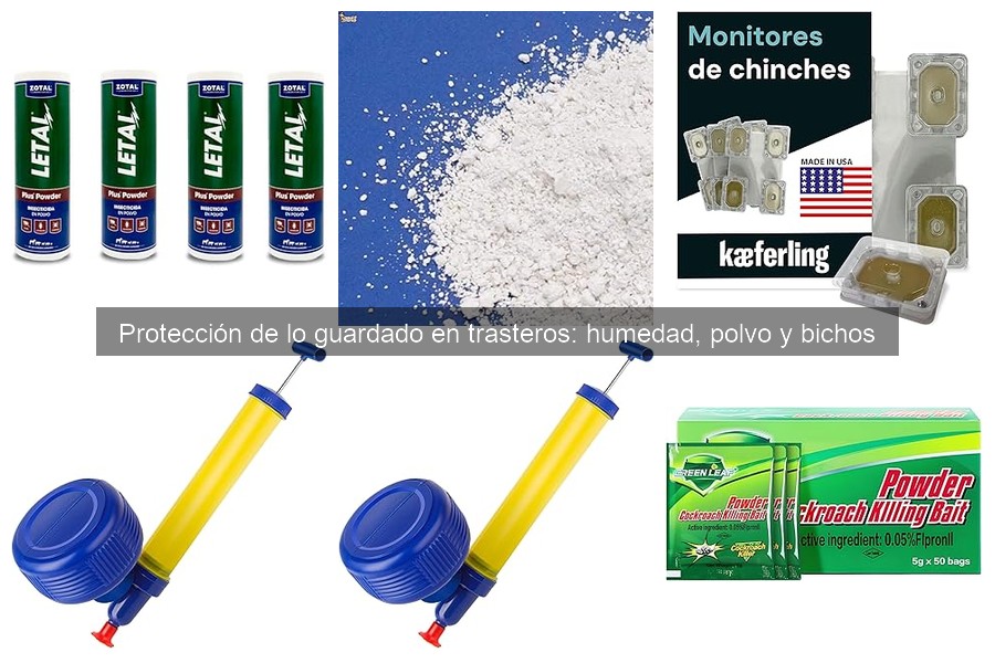 Mantén tu trastero ordenado y protegido de humedad y plagas