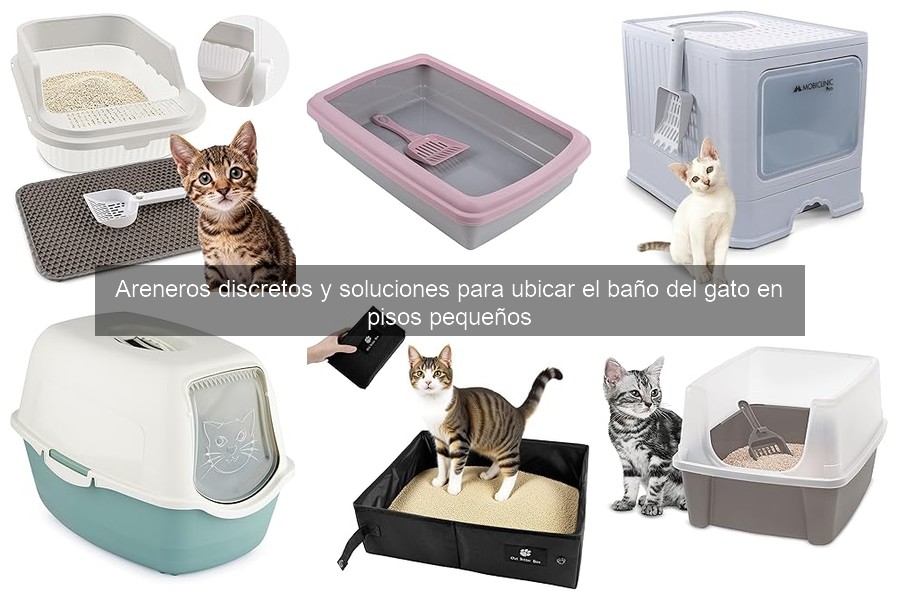 Mantenimiento de areneros ocultos: limpieza y cuidados