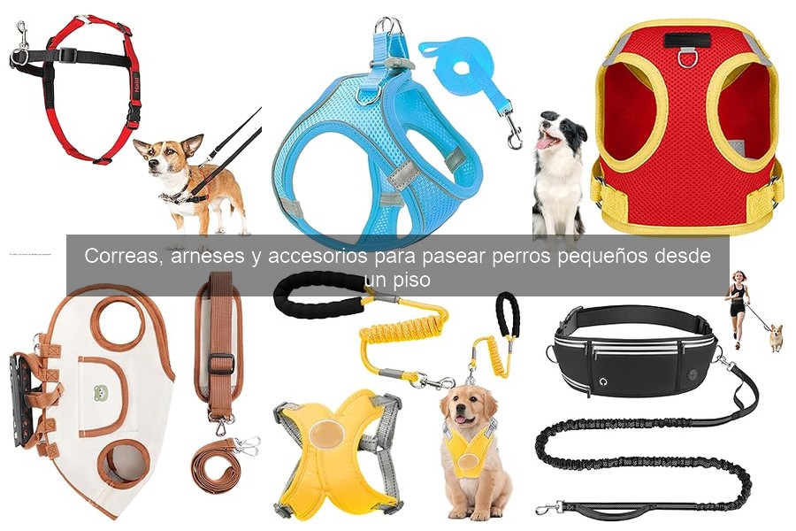 Mejora tus paseos nocturnos con estos accesorios para perros
