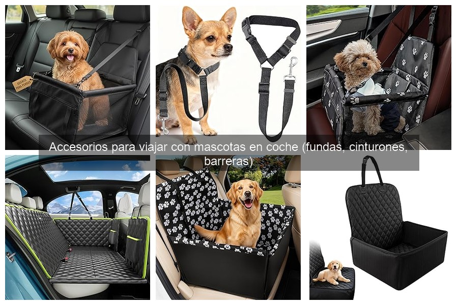 Mejores accesorios para viajar con mascotas en coche