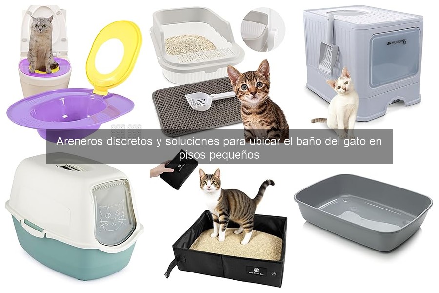 Mejores areneros discretos para espacios pequeños en 2023