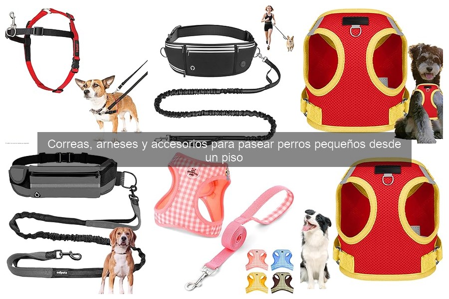 Mejores arneses para perros pequeños en apartamentos