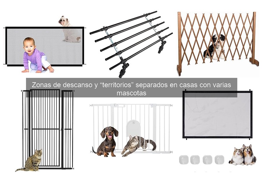 Mejores camas para mascotas en hogares con varios animales