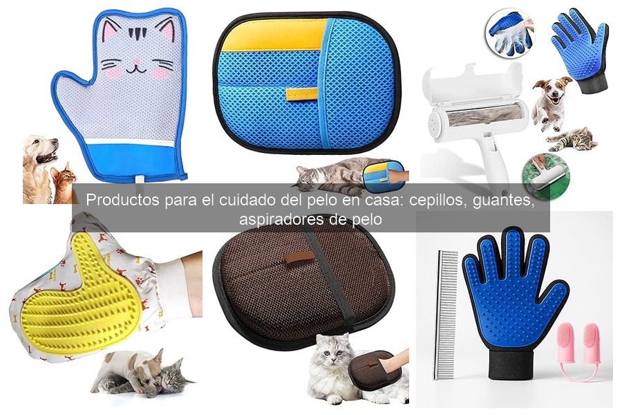 Mejores cepillos para el cabello: guía completa