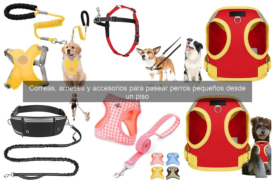 Mejores correas para pasear perros pequeños sin tirones