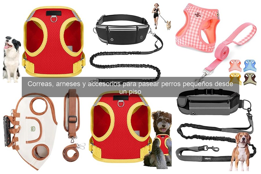 Mejores estrategias para pasear perros pequeños en la ciudad