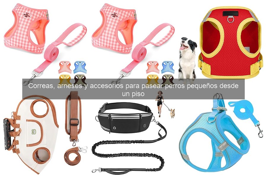 Mejores lugares para comprar correas y arneses para perros pequeños