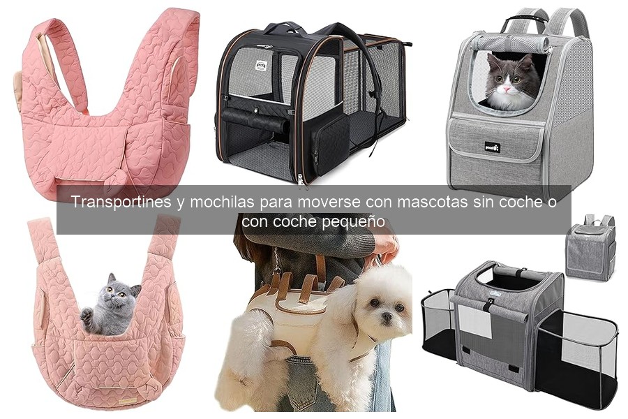 Mejores marcas de transportines para mascotas según usuarios