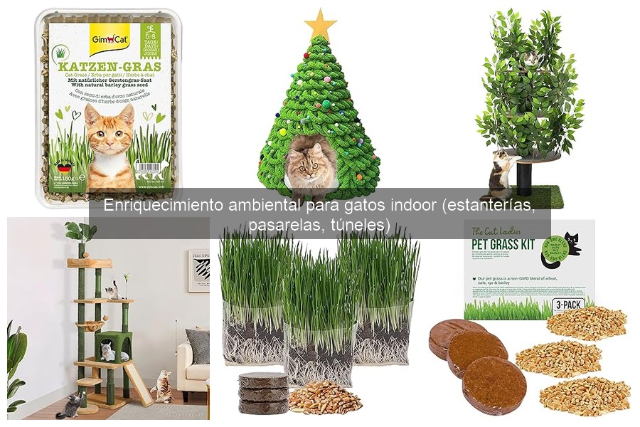 Mejores Ofertas en Pasarelas para Gatos Indoor