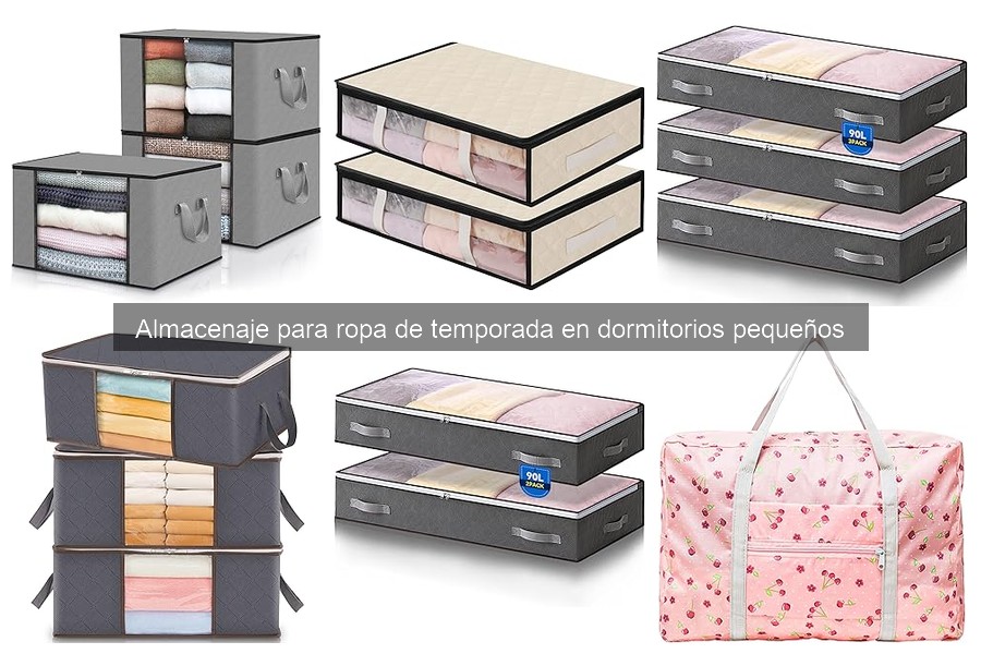 Mejores organizadores de ropa de temporada para dormitorios pequeños