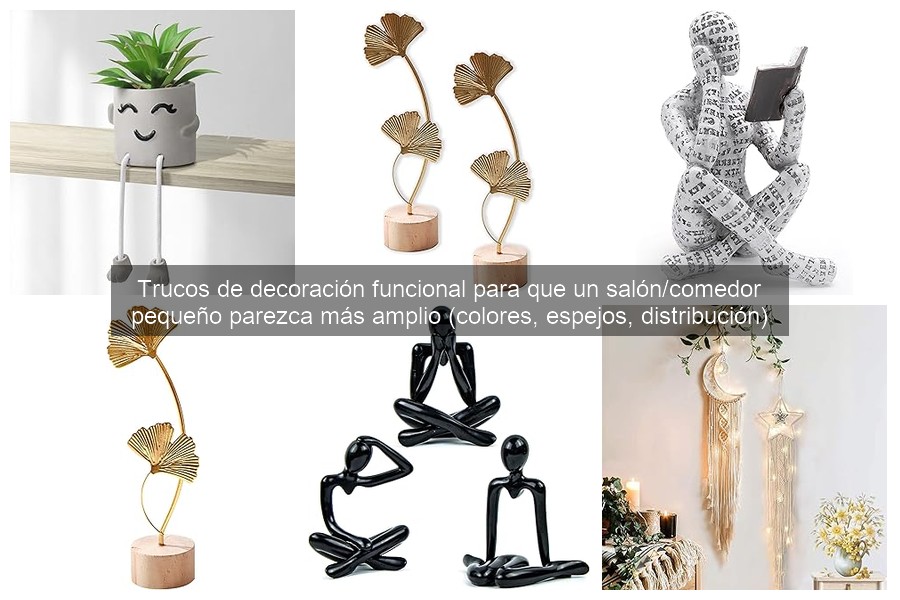 Mejores plantas de interior para salones pequeños y elegantes