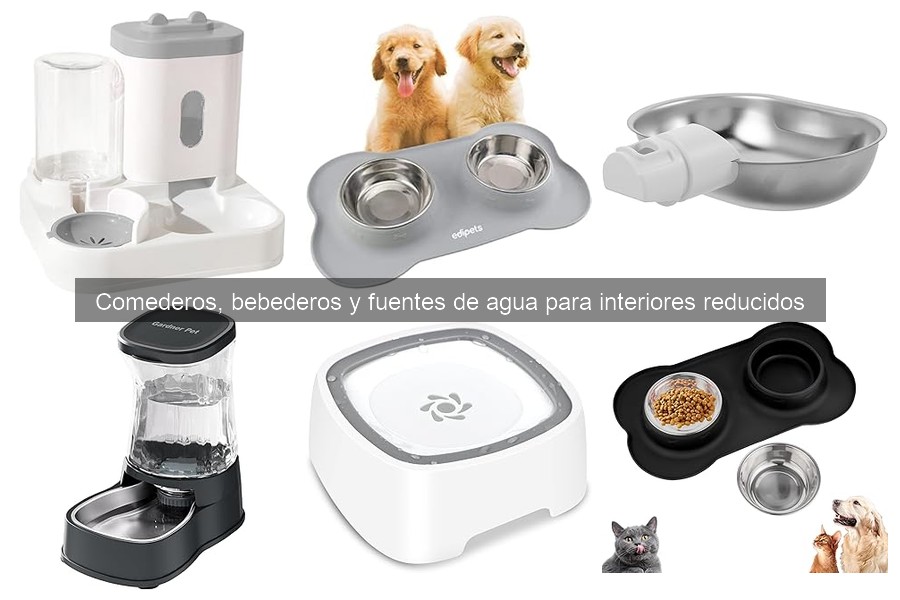 Mejores Prácticas para Alimentar Mascotas en Espacios Pequeños