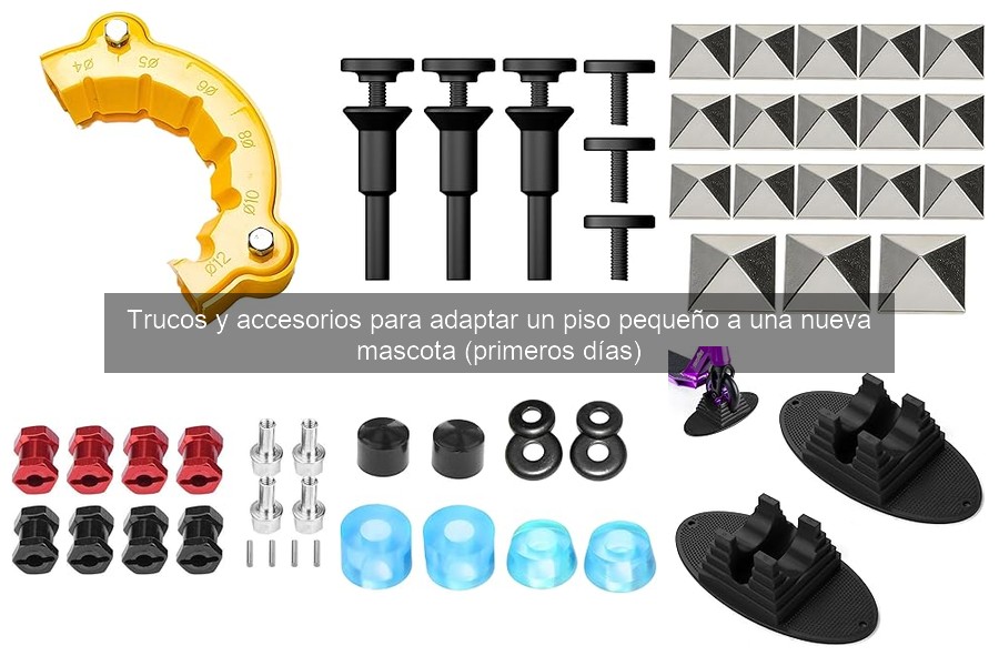 Mejores trucos para maximizar espacio en pisos pequeños con mascotas