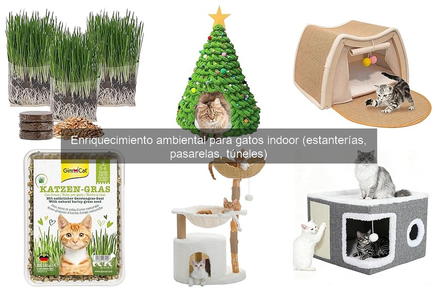 Mejores túneles para gatos indoor: comparativa completa
