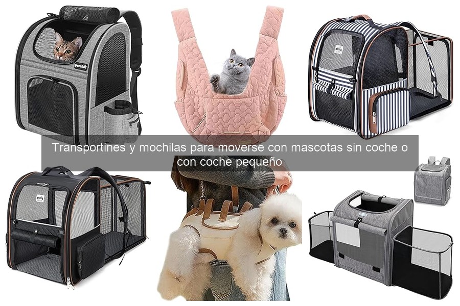 Mochilas para Perros Grandes: ¿Son Adecuadas?