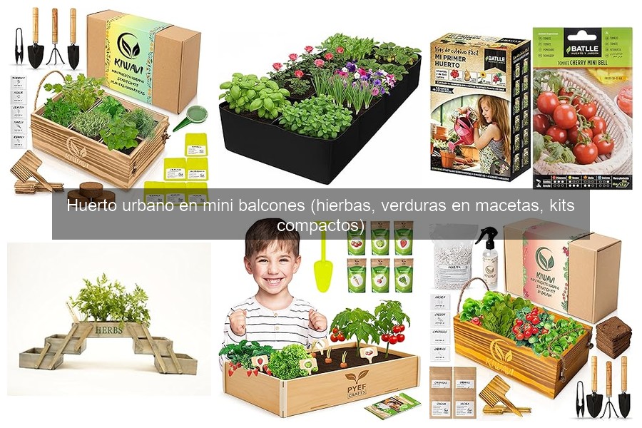 Plantas ideales para un huerto urbano en mini balcones