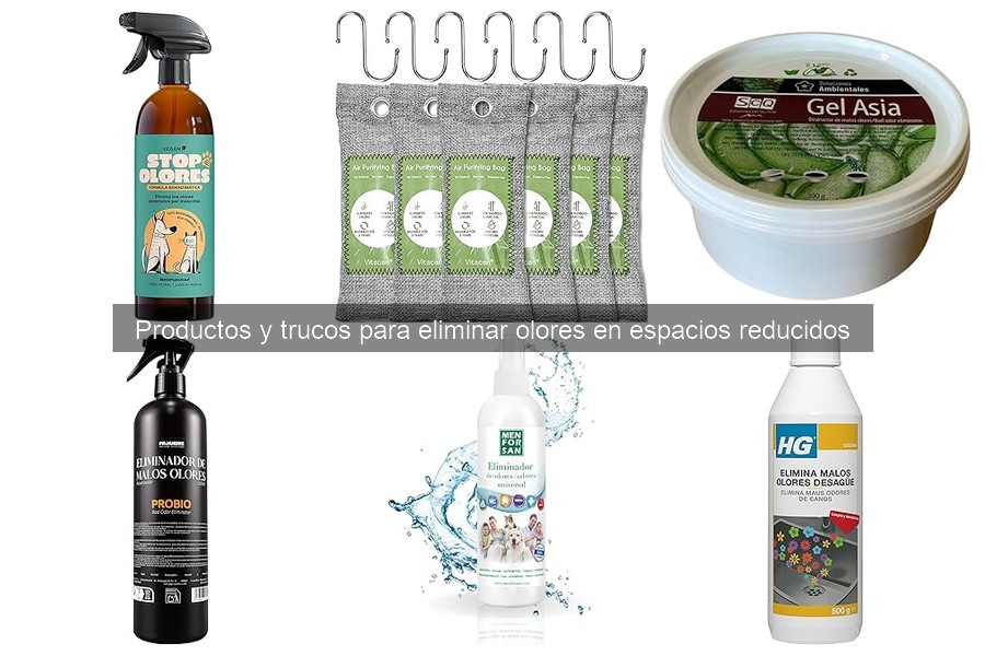 ¿Por qué huelen mal mis espacios pequeños? Identifica las causas