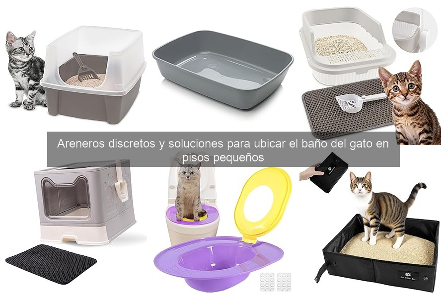 Precios y Dónde Comprar Areneros Discretos para Gatos