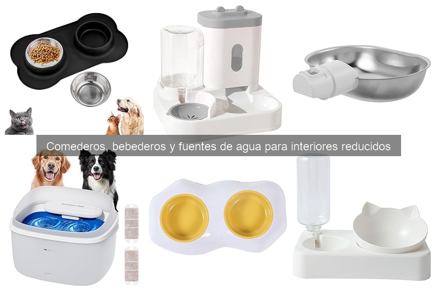 Precios y Dónde Comprar Comederos y Bebederos para Interiores
