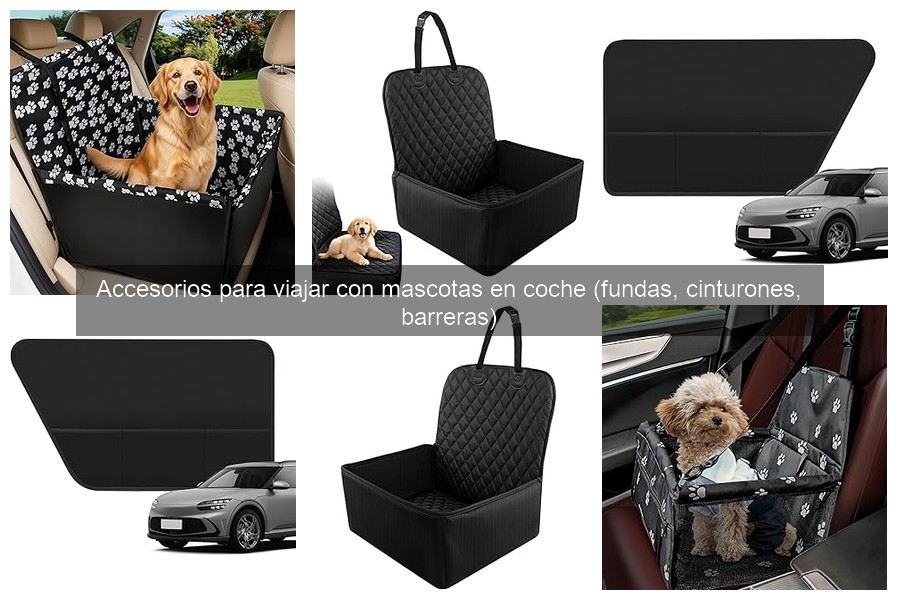 Premios y Certificaciones de Accesorios para Mascotas