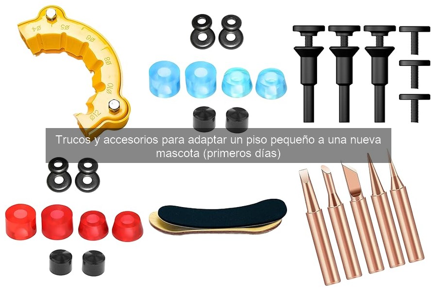 Preparar tu hogar para una nueva mascota en espacios pequeños