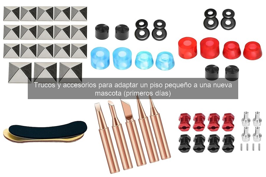 Problemas comunes al introducir una mascota en pisos pequeños