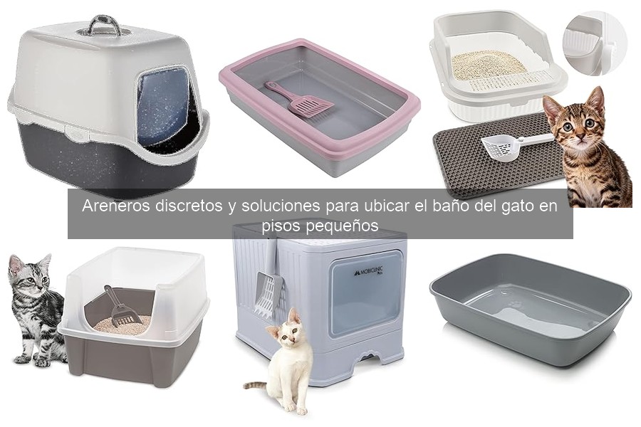 Problemas comunes con areneros discretos y sus soluciones