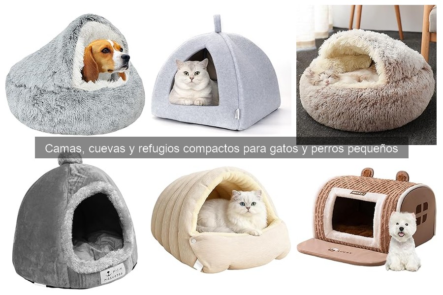 Problemas comunes con camas para mascotas y soluciones