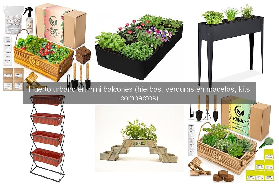 Problemas comunes en un huerto urbano en mini balcones