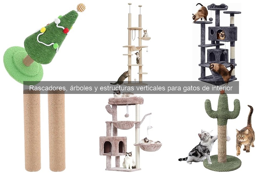 ¿Qué hacer si mi gato no usa el rascador? Soluciones efectivas