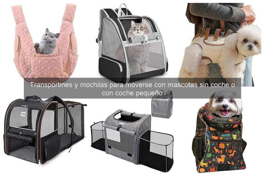 ¿Qué tamaño de transportín necesito para mi mascota?