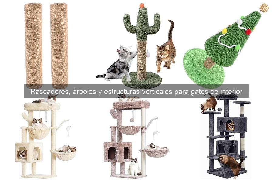 Rascadores con características especiales: ¿Realmente valen la pena?