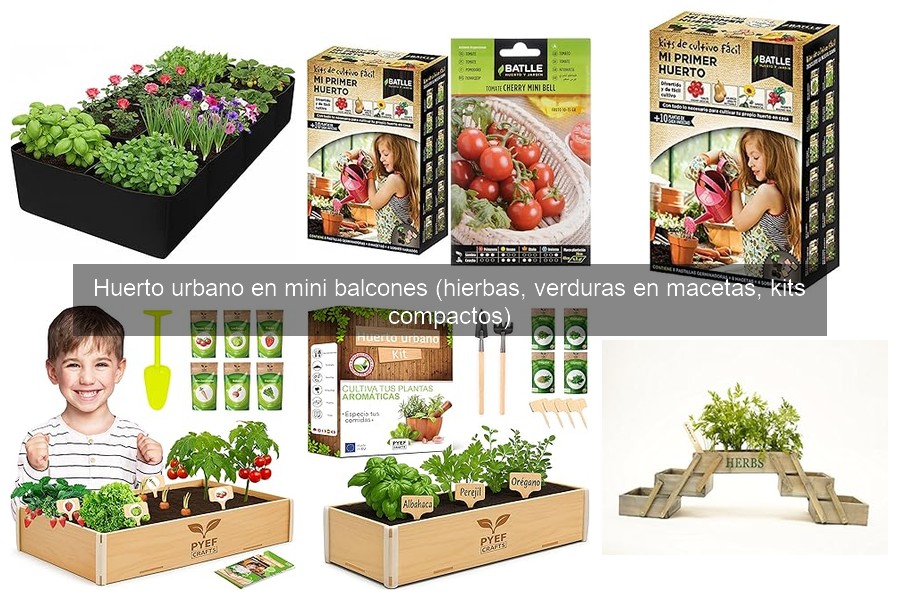 Síntomas de enfermedades en plantas de huerto urbano