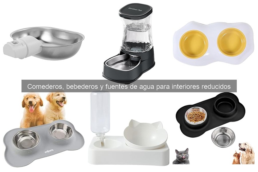 Soluciones a problemas comunes con fuentes de agua para mascotas