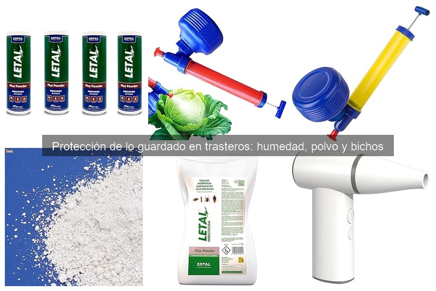 Soluciones Efectivas para Proteger Trasteros del Polvo