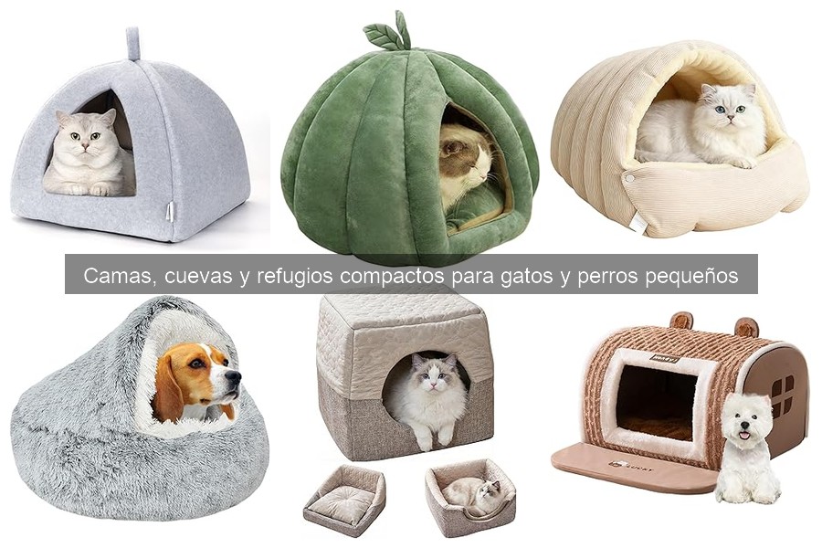 Tipos de camas para perros y gatos pequeños: guía completa
