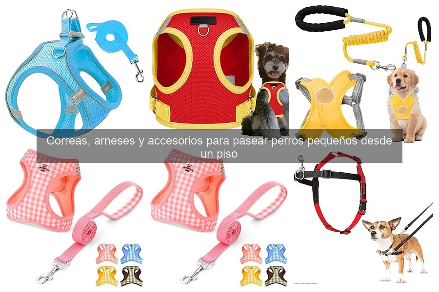 Tipos de correas para perros pequeños: ¡elige la mejor!