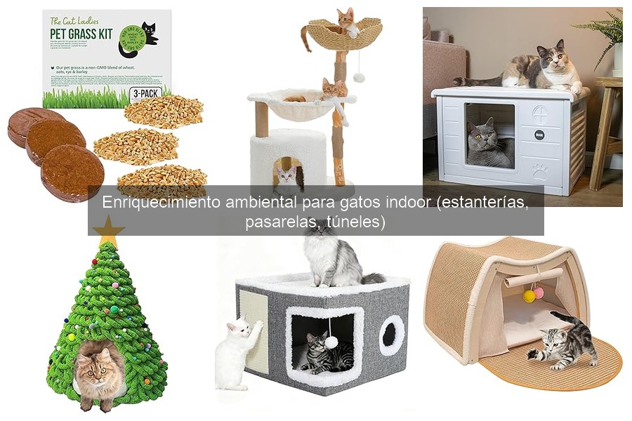 Tipos de estanterías y pasarelas para gatos indoor