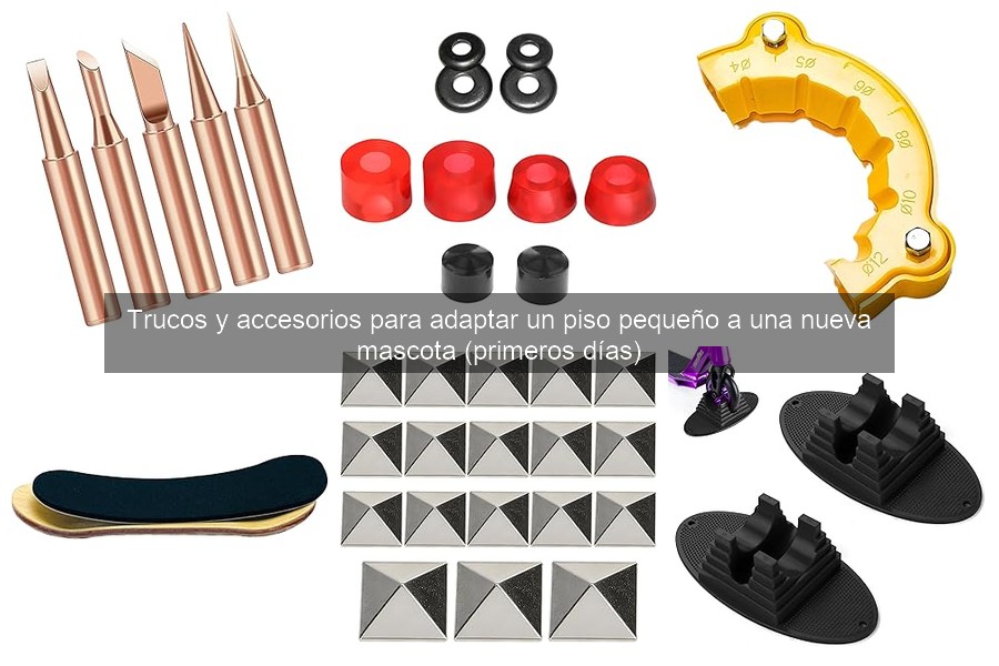 Trucos y juegos para gestionar tiempo libre con tu nueva mascota