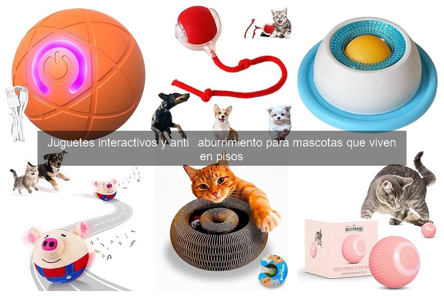 Ventajas de los juguetes interactivos para mascotas en pisos
