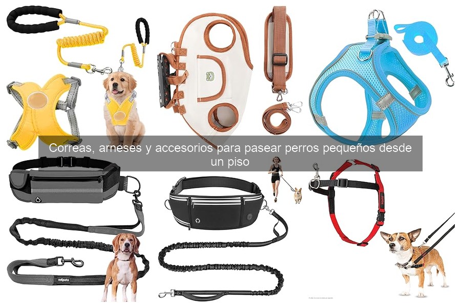 Ventajas y desventajas de arneses vs collares para perros