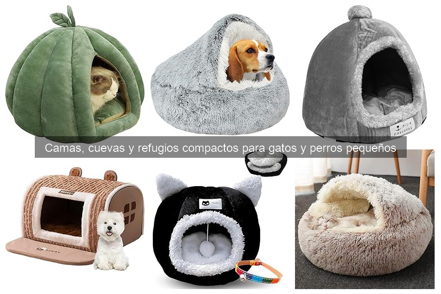 Ventajas y desventajas de las camas elevadas para mascotas