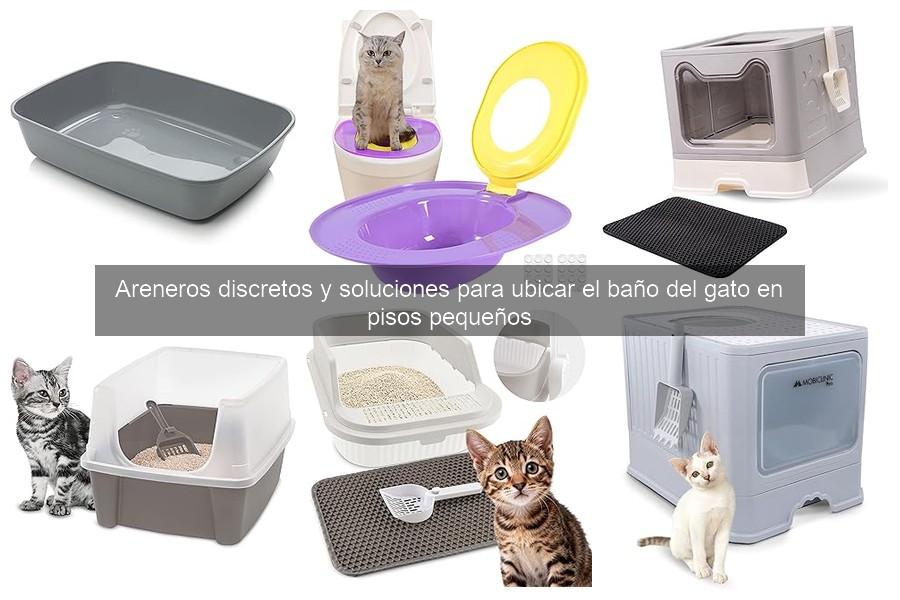 Ventajas y Desventajas de los Areneros Ocultos para Gatos