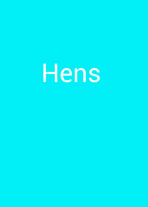 Cartel del concierto de Hens en la sala The Hangar, Logroño